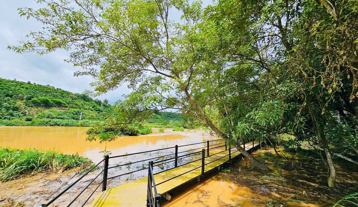 Huy Việt Tây Đô