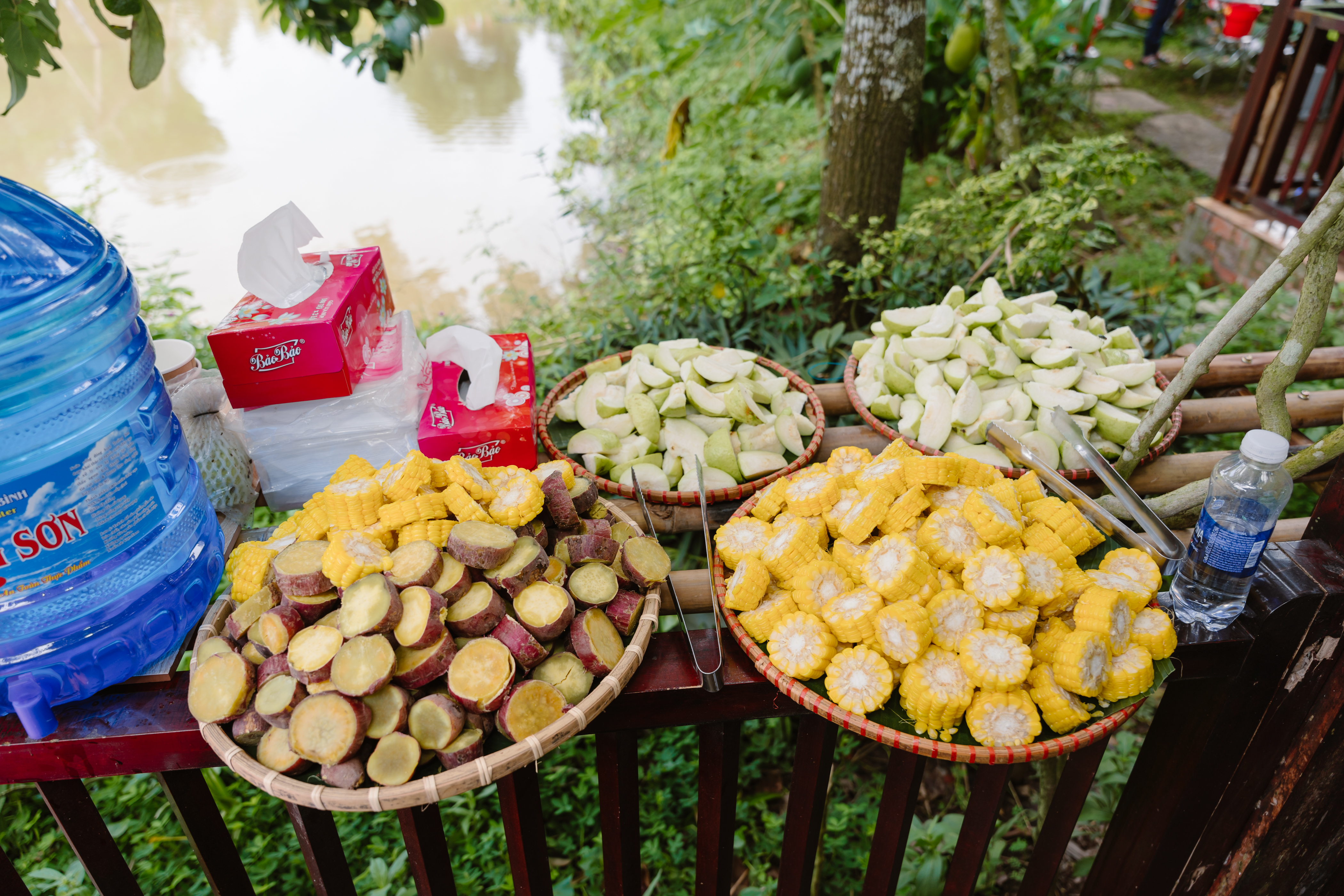 Huy Việt Tây Đô