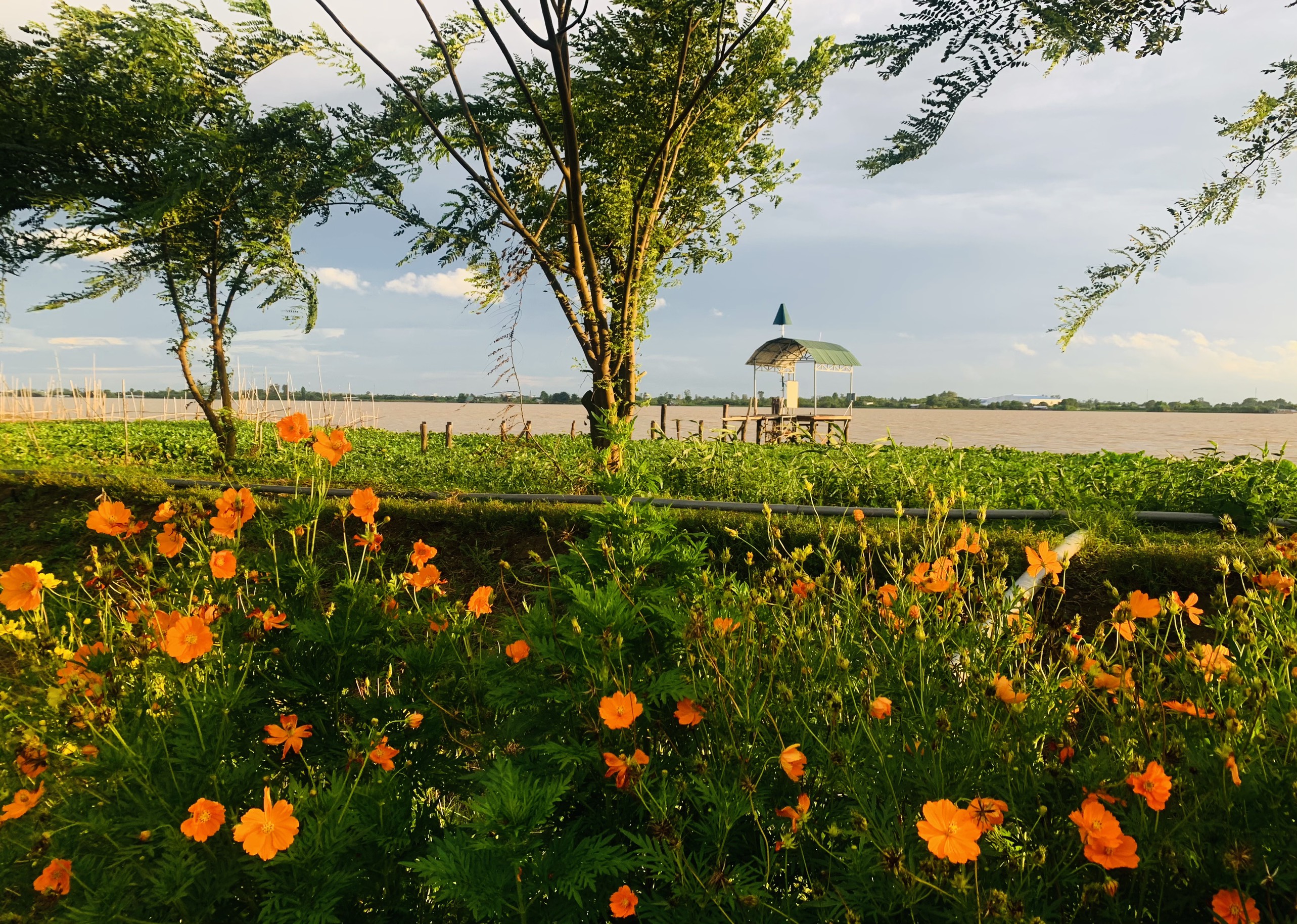 Huy Việt Tây Đô