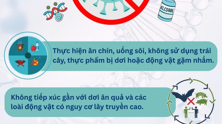  Virus NIPAH - phòng chống và phòng ngừa       